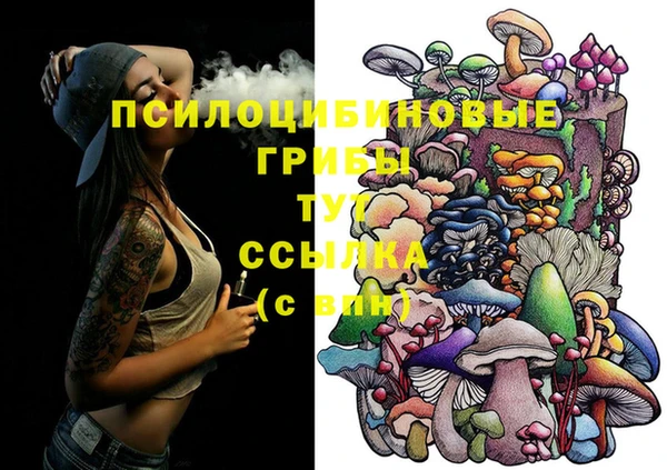 прущий лед Балахна