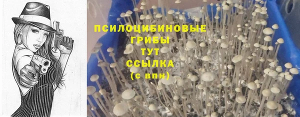 ПСИЛОЦИБИНОВЫЕ ГРИБЫ Балабаново