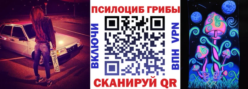 Псилоцибиновые грибы Cubensis  Купить  Ачинск 